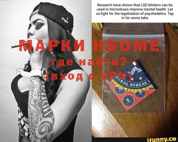 бошки Бородино