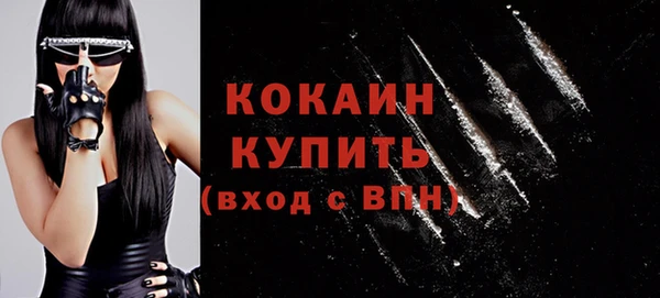 бошки Бородино