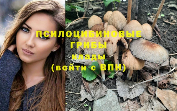 мет Богданович