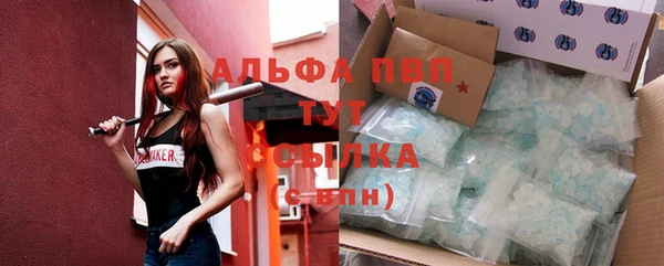бошки Бородино