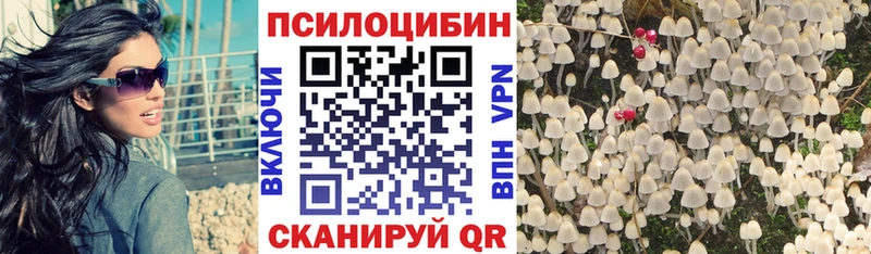 наркошоп  Камешково  Галлюциногенные грибы Cubensis 