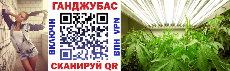 продажа наркотиков Камешково KRAKEN как войти Шишки марихуана план